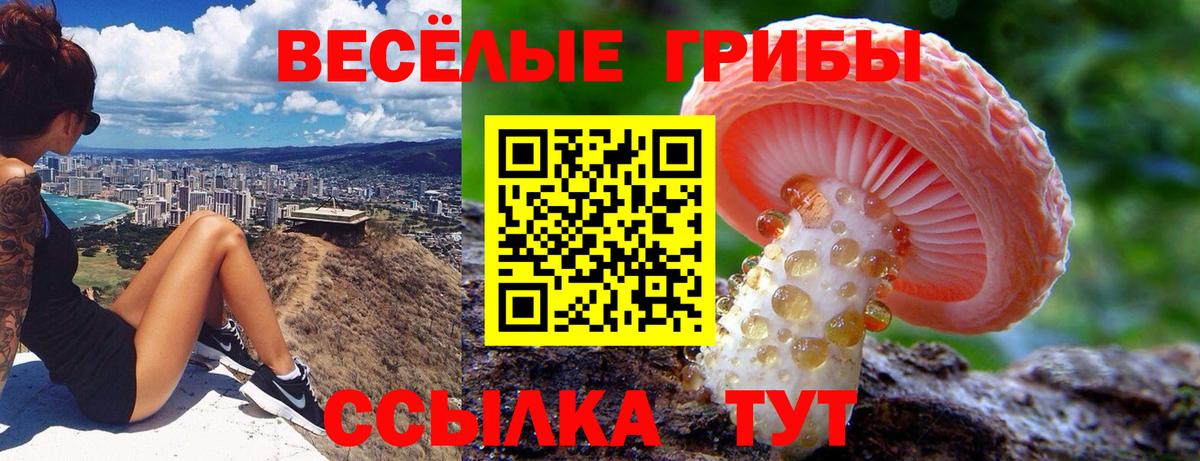 Галлюциногенные грибы мухоморы  как найти наркотики  Бахчисарай  Вход с VPN 